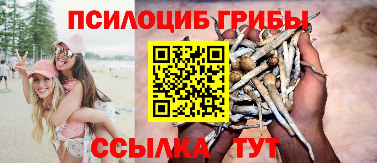 Десногорск  Галлюциногенные грибы MAGIC MUSHROOMS  Вход с VPN 