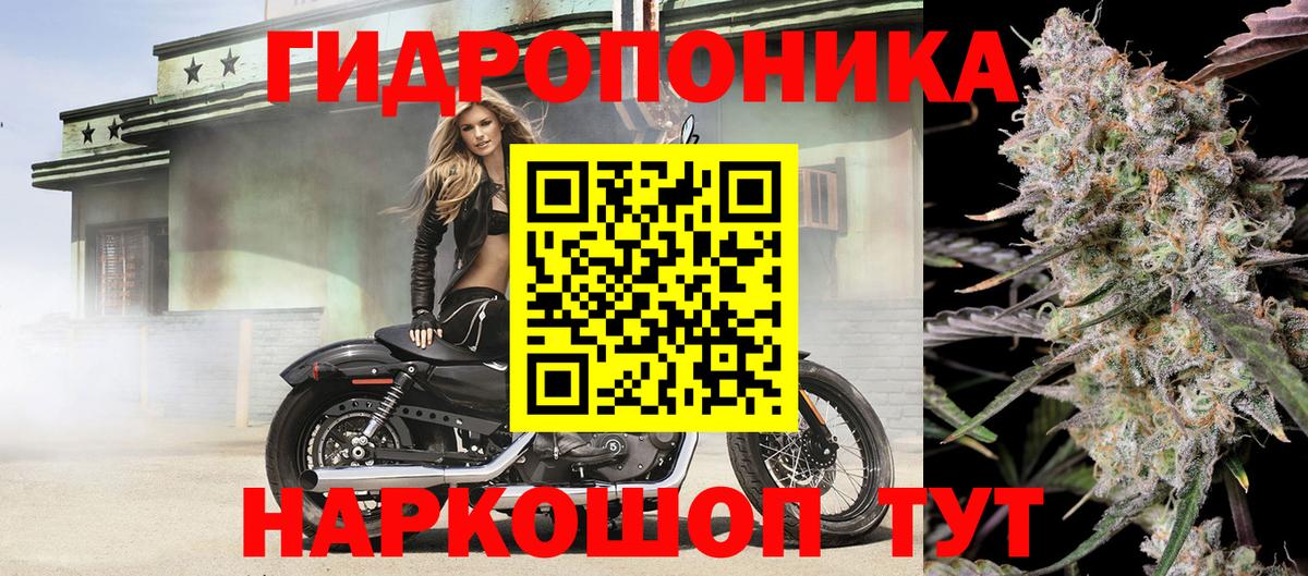 Десногорск  МАРИХУАНА ГИДРОПОН  Вход с VPN  МАРИХУАНА тримм 
